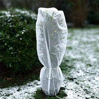 Winterschutz vor Frost