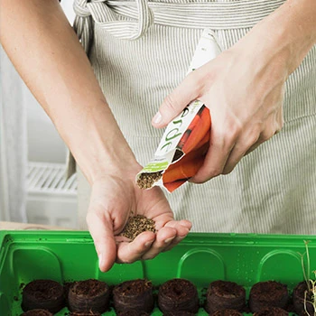 Gemüsesamen für die frühe Frühjahrsvorzucht