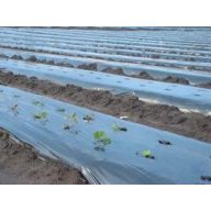 Folie TVK 12x60m 0,12 Schwarz TOAFR