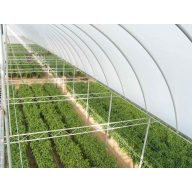 Folie TVK 12x60m 0,15 UV 2 Jahre S2N