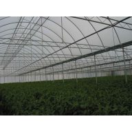 Folie TVK 8.5x60m 0,12 Natur SON