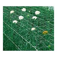 Pflanzennetz 12,5x12,5x500m (1m breit)