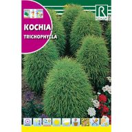 Sommerzypresse (Kochia tricophylla) Rocalba 8 g