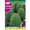 Sommerzypresse (Kochia tricophylla) Rocalba 8 g