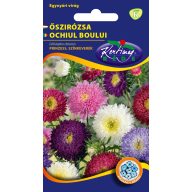 Peony Princess Farbmischung 1 g