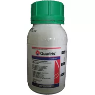 Quadris 0,2 l