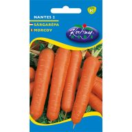 Karotten mittelalterliche Nantes 2 5g