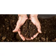 Analyse von Bodenproben