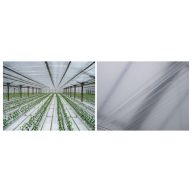 Folie TVK 11x100m 0,06 Innen UV Tropfensicher S1BC