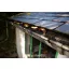Schwarzes Leafprotec 6mx0,17m (5x5 mm)