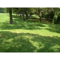 Grassamen ELKA Renovierungsmischung 10 kg