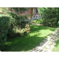 Grassamen ELKA-Schattengrasmischung 10 kg