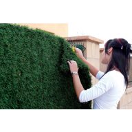 Künstliche Hecke Campovert 1m x 3m