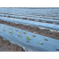 Folie TVK 8,5x60m 0,15 Schwarz TOAFR