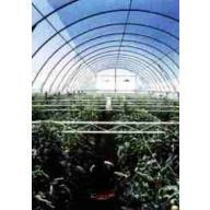 Folie TVK 16x52m 0,15 UV 1 Jahr S1N