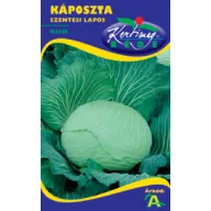 Kraut Johanniskraut flach 2g