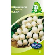 Perlzwiebel Barletta Großmutter Serie 5 g