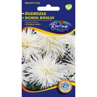 Daisy Needle Blütenblatt weiß 1g