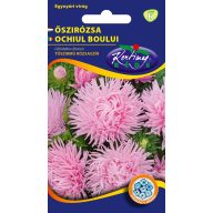 Daisy Needle Blütenblatt rosa 1g