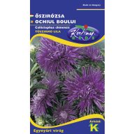 Daisy Needle Blütenblatt lila/blau 1g