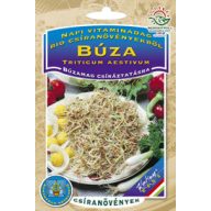 Sprossenweizen Bio 50g