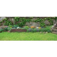 Beeteinfassung Wilborder 0,31x1 m