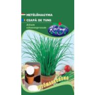 Saatscheibe Schnittlauch 2 Stück/Stk