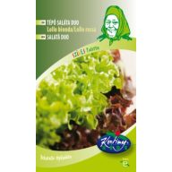   Saatgutband Tränensalat Lollo Bionda/Lollo Rossa/Salatbräu 3*1,33m g