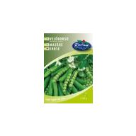 Grüner Erbsenkürbis Miracle of Kelvedon 250 g