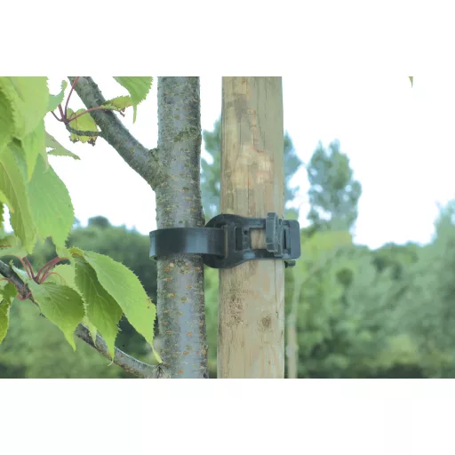 Tree Tie Gummiklemme Tree Tie 55 cm