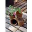 Torf-Töpfe "Growing Pots" 6 cm Durchmesser 24 Stück