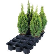 Super Tablett für 18 Töpfe 19-21 cm