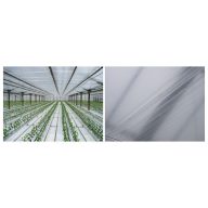 Folie TVK 12x100m 0,09 Innen UV Tropfensicher S1BC