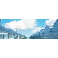 Folie Ginegar 8,5x60 m 0,15 UV 3 Jahre UVA CLEAR