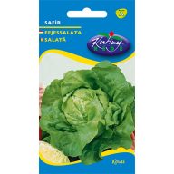 Kopfsalat Safir 2g