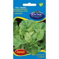 Kopfsalat Winterbutterkopf 2,5g