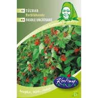 Rotblühende Bohnen Feuerbohnen 30g