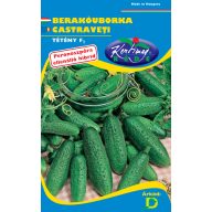 Salatgurke (Dose) Salatgurke F1 1 g