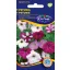 Petunia kleine Blütenfarbenmischung 0,125g