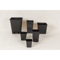 Quadratische Kunststofftöpfe 15x15x15 EX cm