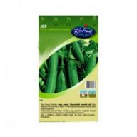 Grüner Erbsenkürbis Jof 500 g