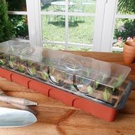 Mini-Gewächshaus Growing KIT