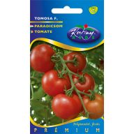 Tomate Tomosa F1 20 Samen