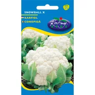Blumenkohl-Schneeball X 1 g