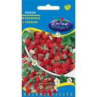 Erdbeere Rügen 0,2 g