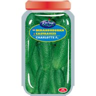 Gurke (in Dosen) Charlotte F1 50 Körner