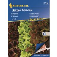 Saatband Salatmischung Salatwiese 4x2,5 m Kiepenkerl