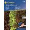 Saatband Salatmischung Salatwiese 4x2,5 m Kiepenkerl