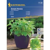 Süßgras Stevia Kiepenkerl 12 Samen