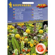 Duftblumenmischung 50 Samen Kiepenkerl